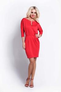 Red Tulip Shape Mini Dress